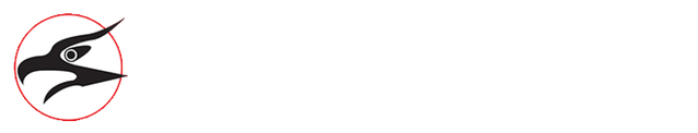 Vancouver Thunderbird Chorus